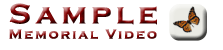 Play
